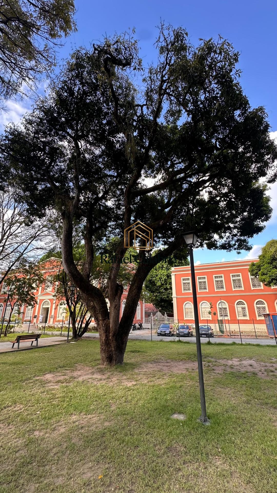 Parque da Tamarineira a seu dispor