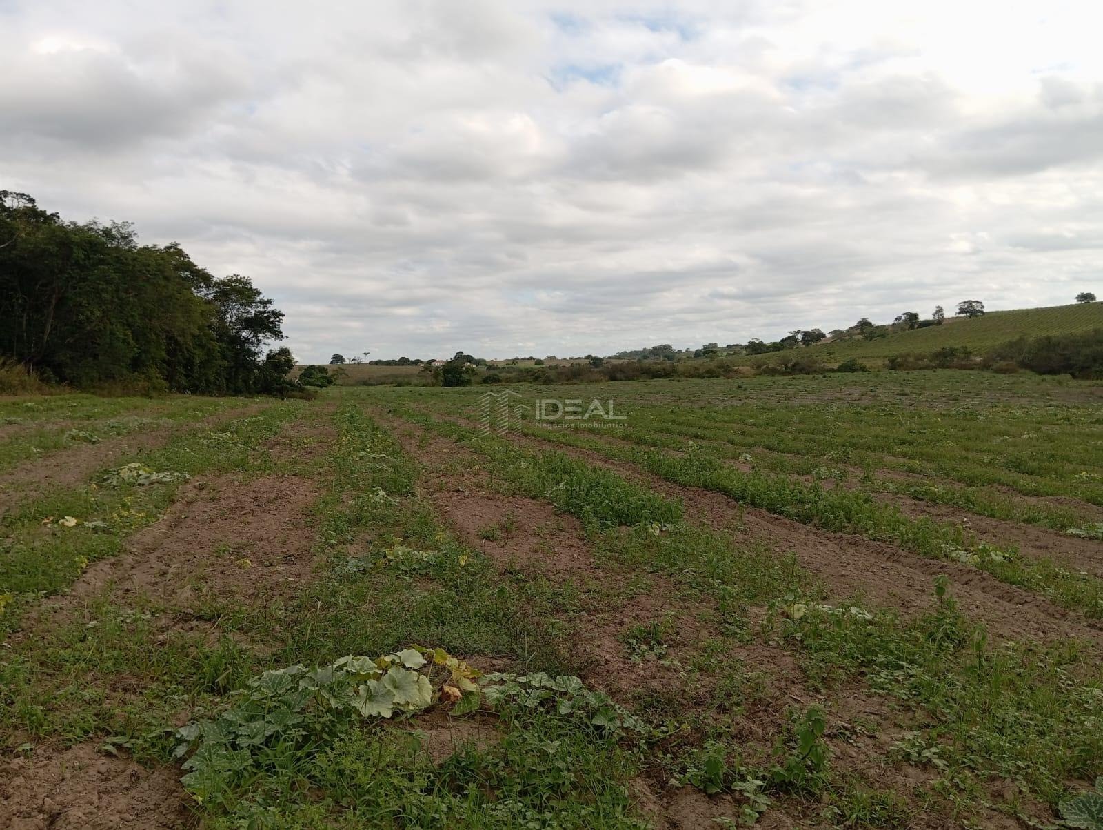 Rural à venda com 1280000m² de terreno no Valão Seco, São Francisco de Itabapoana (RJ) — foto 23 de 30