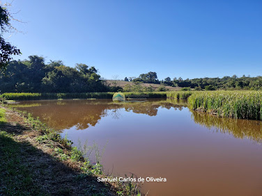 Sítio à Venda em Casa Branca/SP