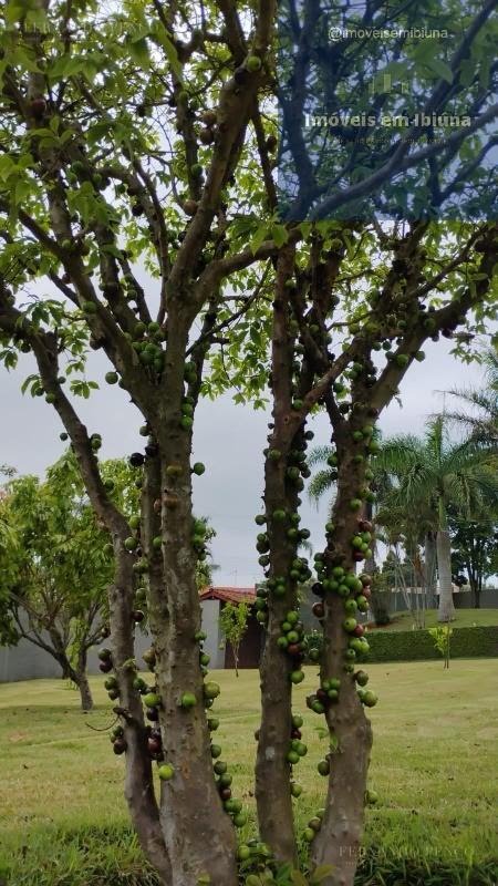Rural à venda com 5400m² de terreno no Pomar Yuri, São Paulo (SP) — foto 20 de 26
