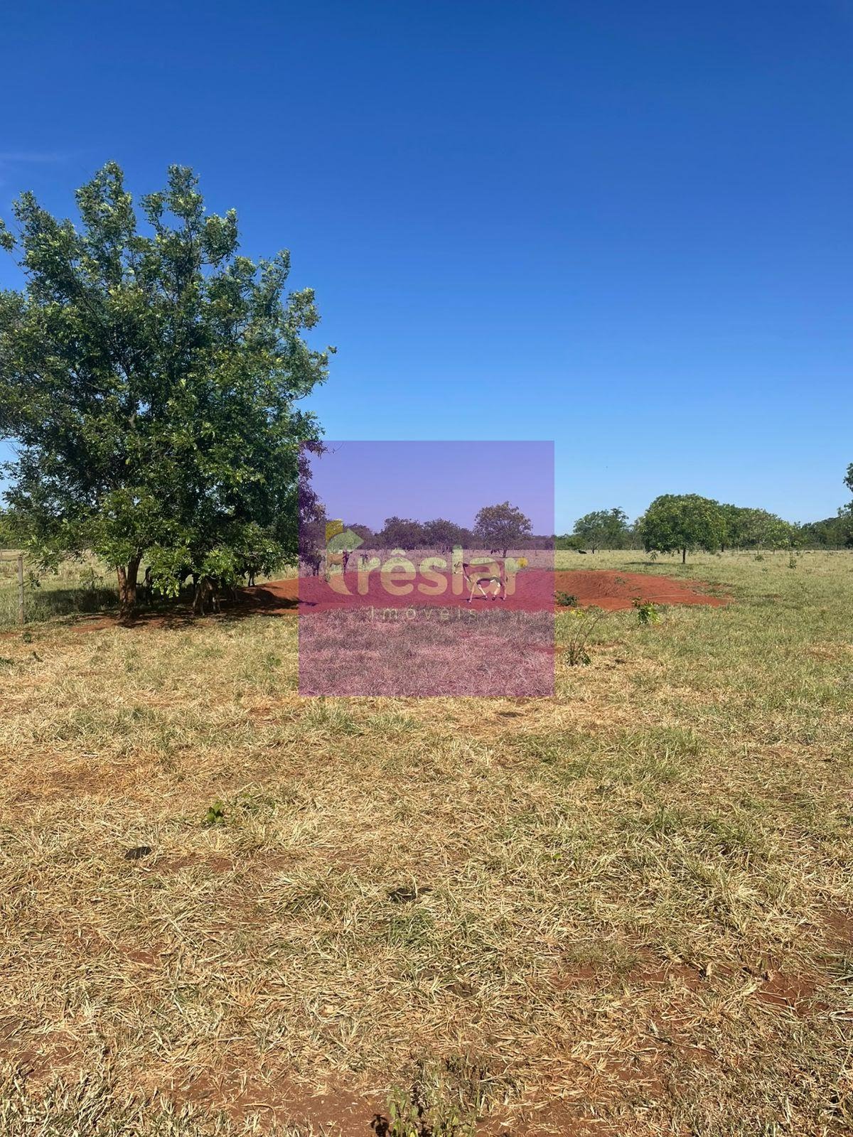 Rural à venda com 80m² de terreno no Chácara, Três Lagoas (MS) — foto 10 de 12