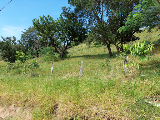 Terreno para chácara em Estância Água Mineral (Capim Fino) - São Pedro: venda  por R$ 180.000,00.