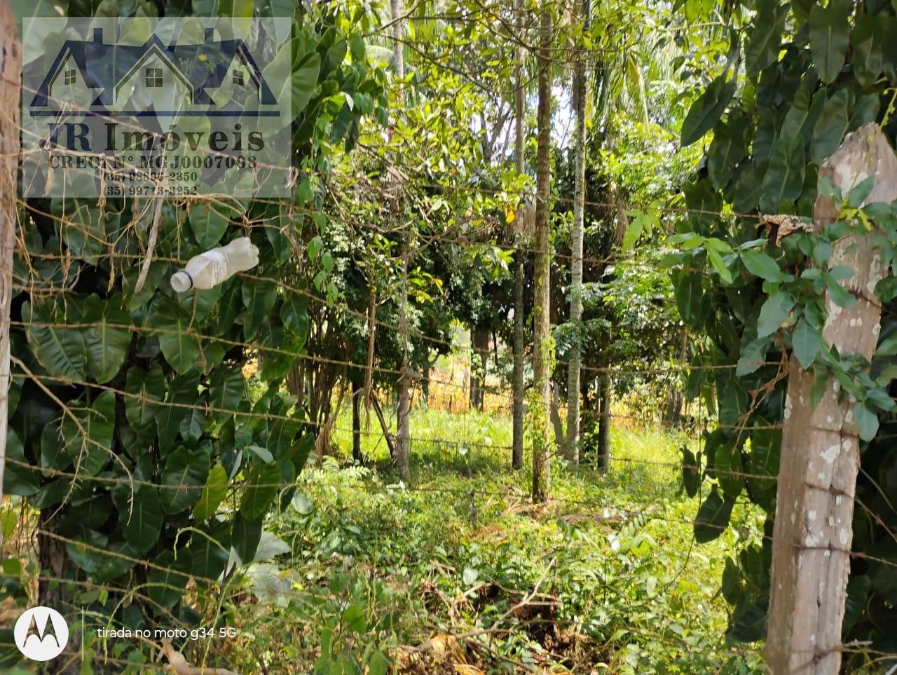 Terreno à venda com 900m² de terreno no Santa Bárbara, Piranguinho (MG) — foto 2 de 3