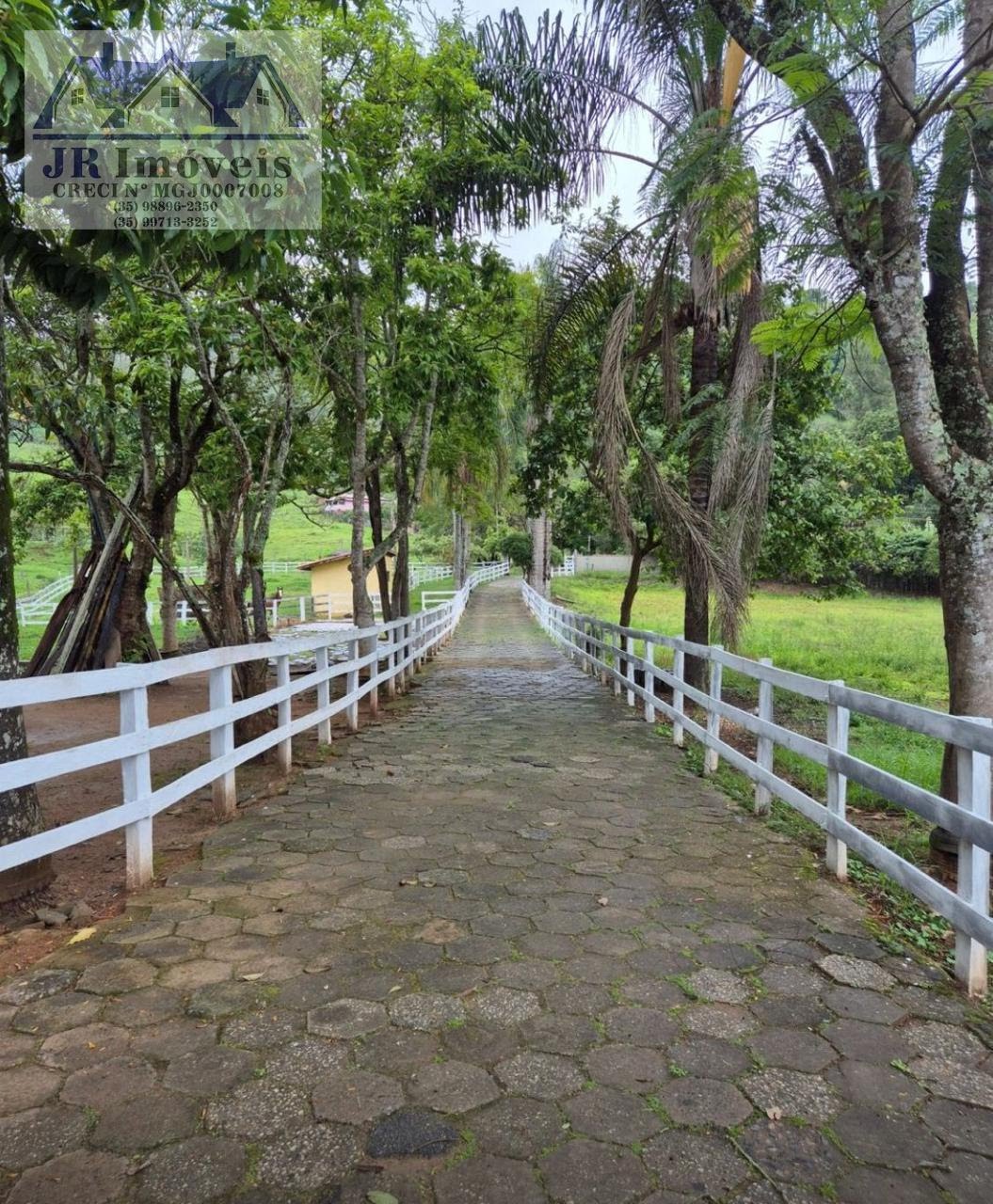 Rural à venda com 145200m² de terreno no Monte Belo, Santa Rita do Sapucaí (MG) — foto 6 de 15