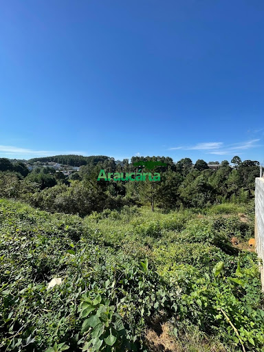 Foto 02