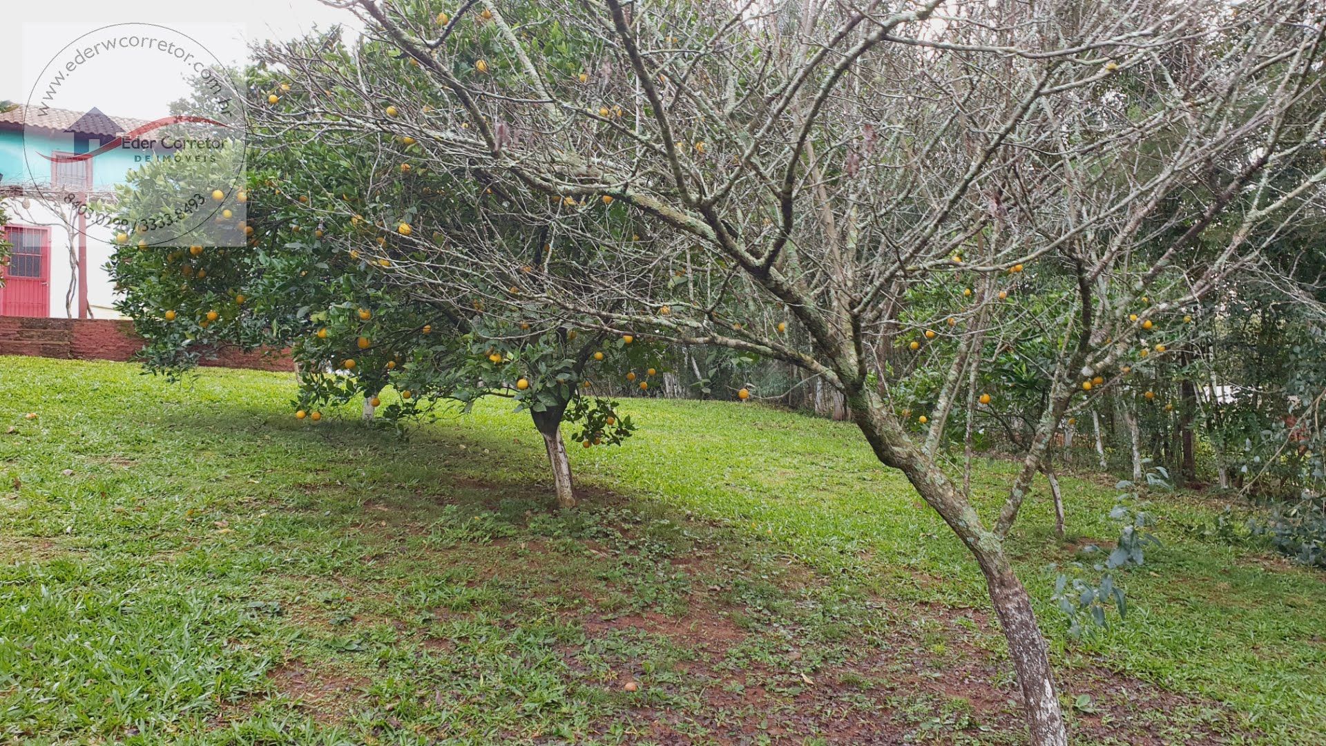 Rural à venda com 3200m² de terreno no Interior, Ijuí (RS) — foto 7 de 16