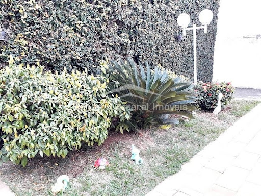Casa, 4 quartos, 341 m² - Foto 6