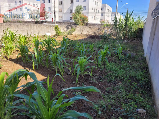 Terreno em Residencial Novo Horizonte  -  Taubaté