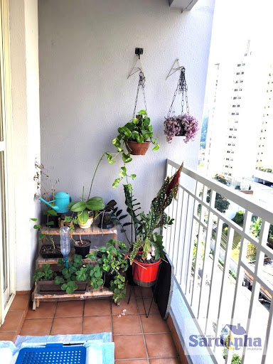 Apartamento à Venda na Super Quadra Morumbi, 75m², 3 Dorms, SP