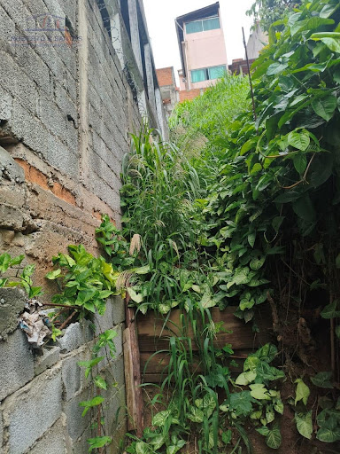 vista fundos terreno 