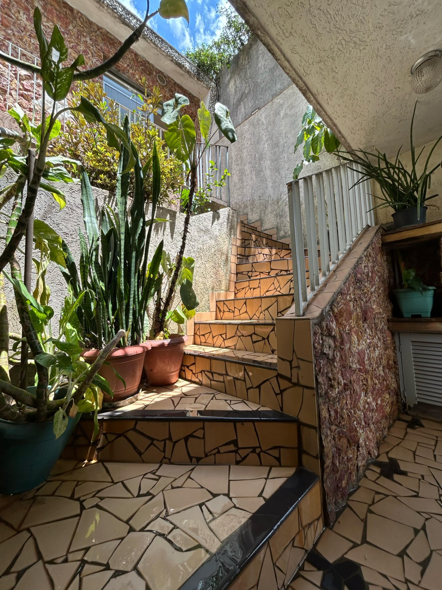 Casa à venda com 3 quartos, 1 suíte e 2 vagas no Chácara Inglesa, São Paulo (SP) — foto 11 de 21