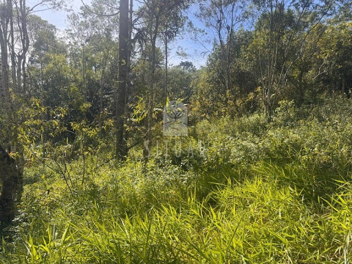 Foto 08