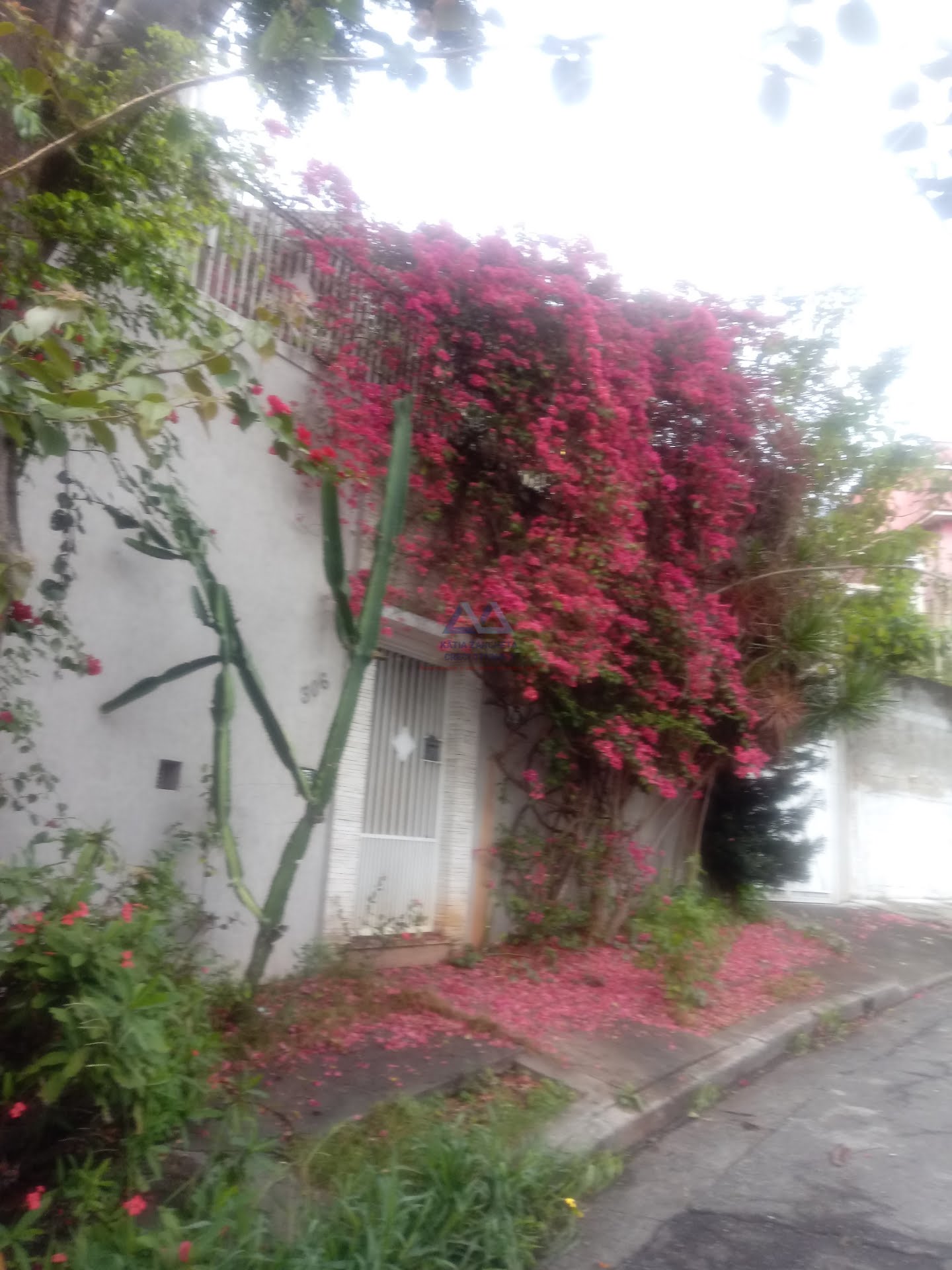Casa à venda com 3 quartos, 1 suíte, 7 vagas e 175m² no Santana, São Paulo (SP) — foto 21 de 21