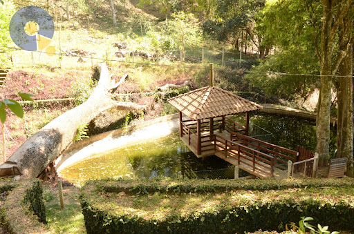 Sítio dentro de Monte Alegre - Incrível !!!!