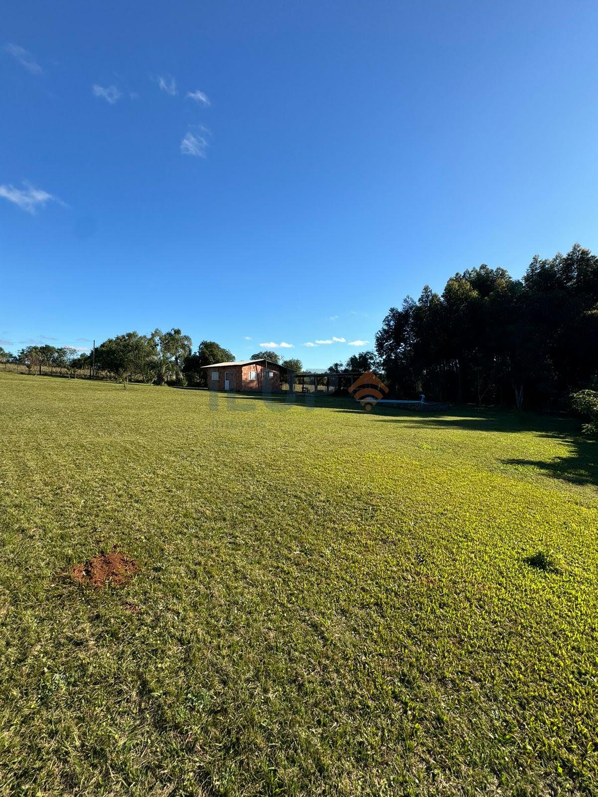 área de campo