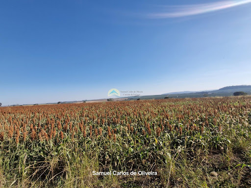 fazenda a venda em casa branca
