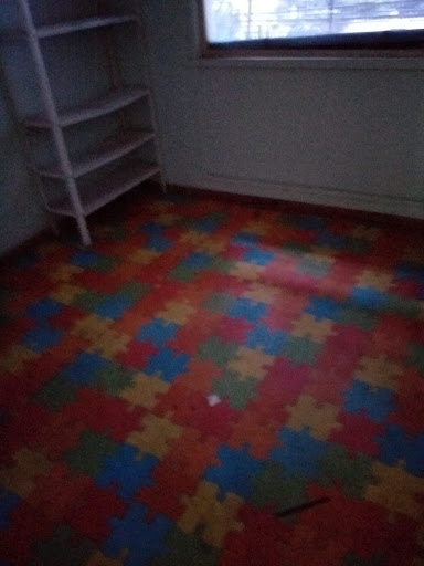 Casa Comercial em Cambuci  -  São Paulo