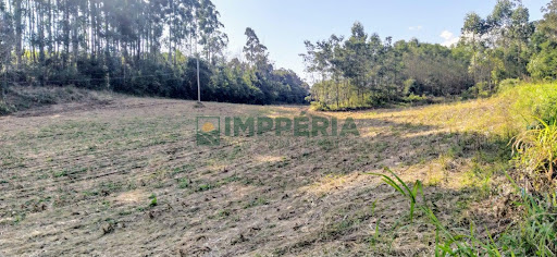 Sítio / Chácara SEM CASA em Carlos Barbosa / RS - Linha 05 da Boa Vista