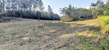 Sítio / Chácara SEM CASA em Carlos Barbosa / RS - Linha 05 da Boa Vista