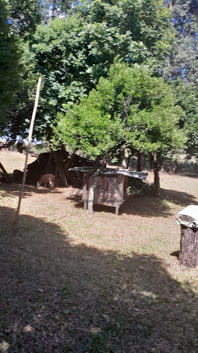 Chácara em Santa Terezinha  -  Cruz Alta