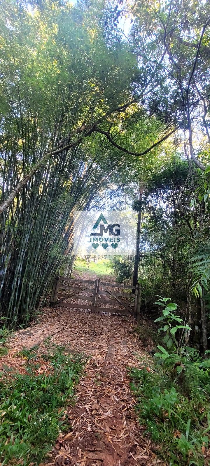 Rural à venda com 290000m² de terreno no Zona Rural São Tomé das Letras, São Thomé das Letras (MG) — foto 8 de 21