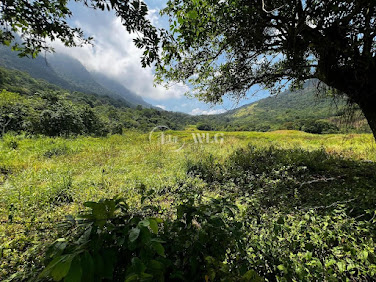 Área de Terras em Acampamento  -  Mangaratiba