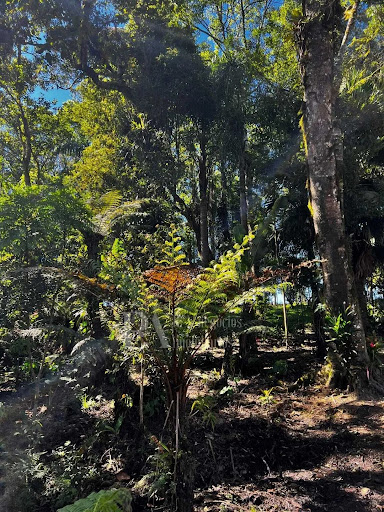 Chácara  a venda em   Rio Negrinho