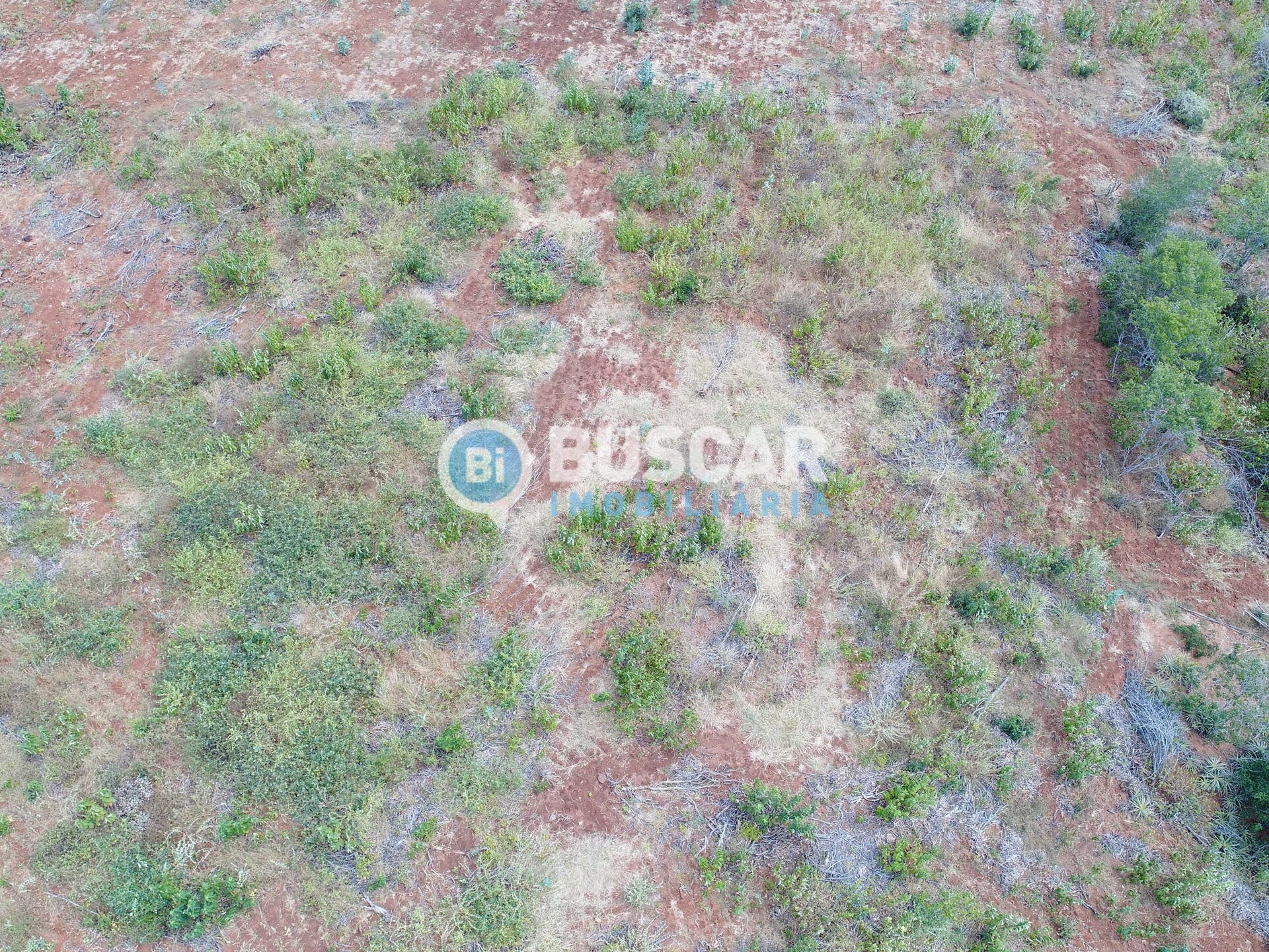 Terreno à venda com 19000000m² de terreno no Centro, Monteiro (PB) — foto 5 de 8