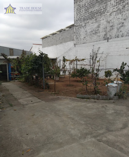 Galpão em Cursino  -  São Paulo