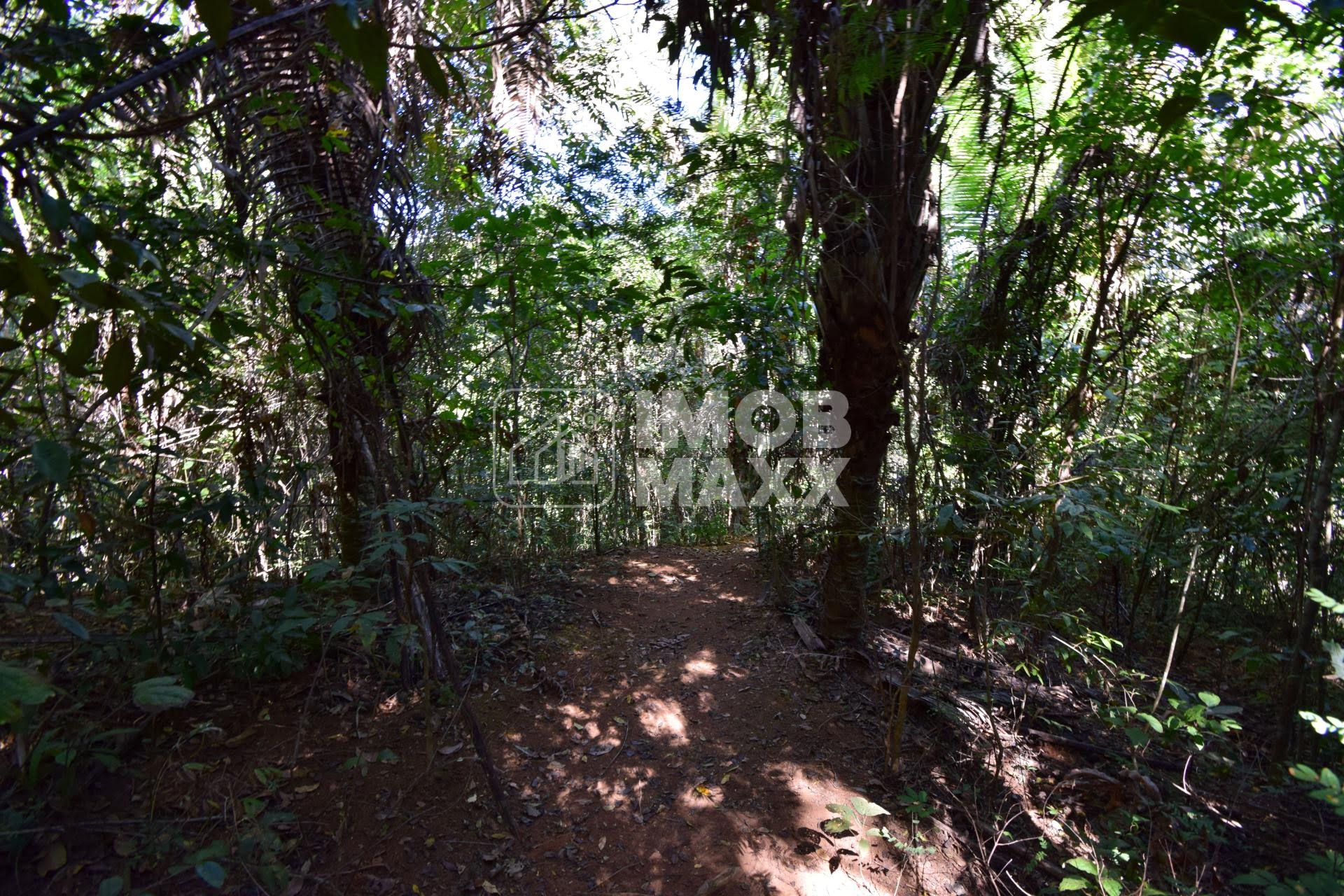 Chácara, 5 quartos, 5 hectares - Foto 36