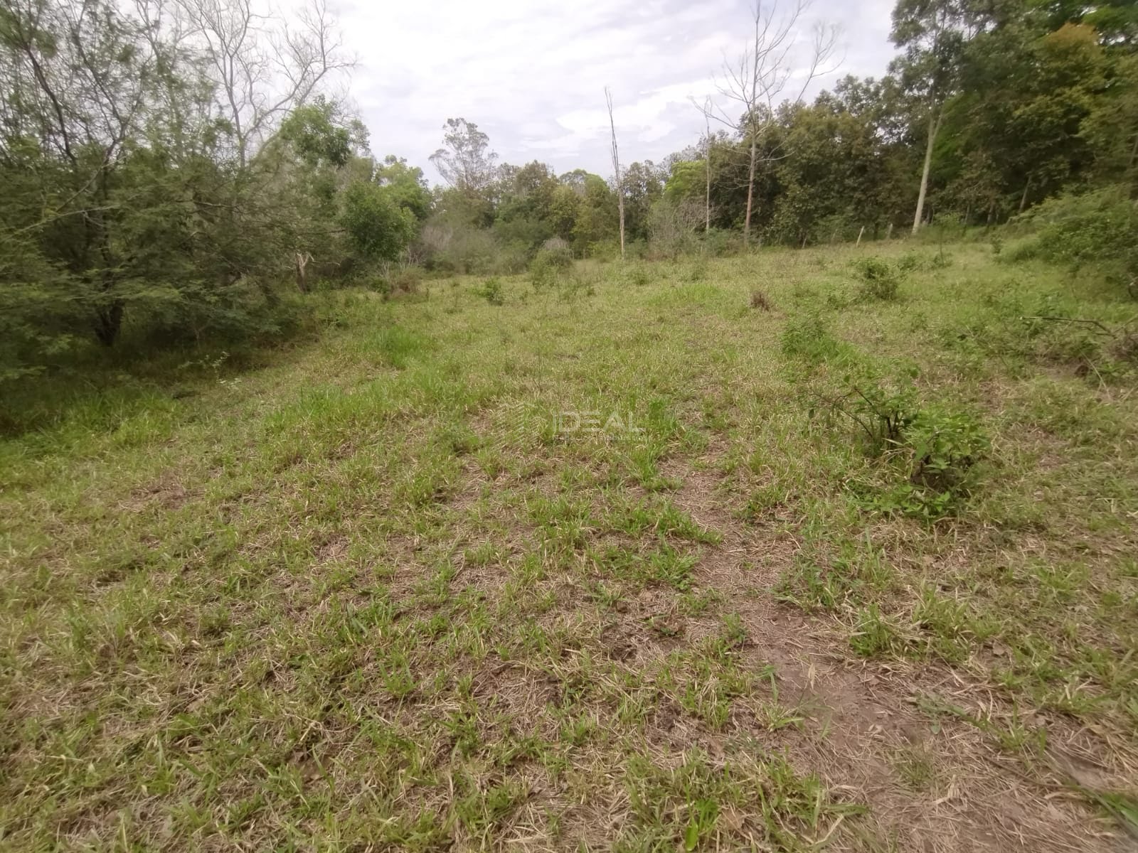 Rural à venda com 34810m² de terreno no Parque Aeroporto, Campos dos Goytacazes (RJ) — foto 20 de 20