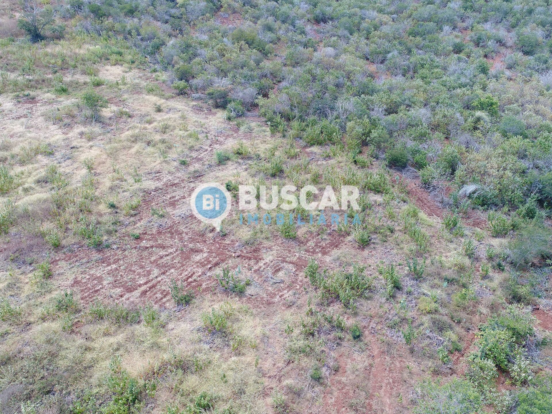 Terreno à venda com 19000000m² de terreno no Centro, Monteiro (PB) — foto 8 de 8