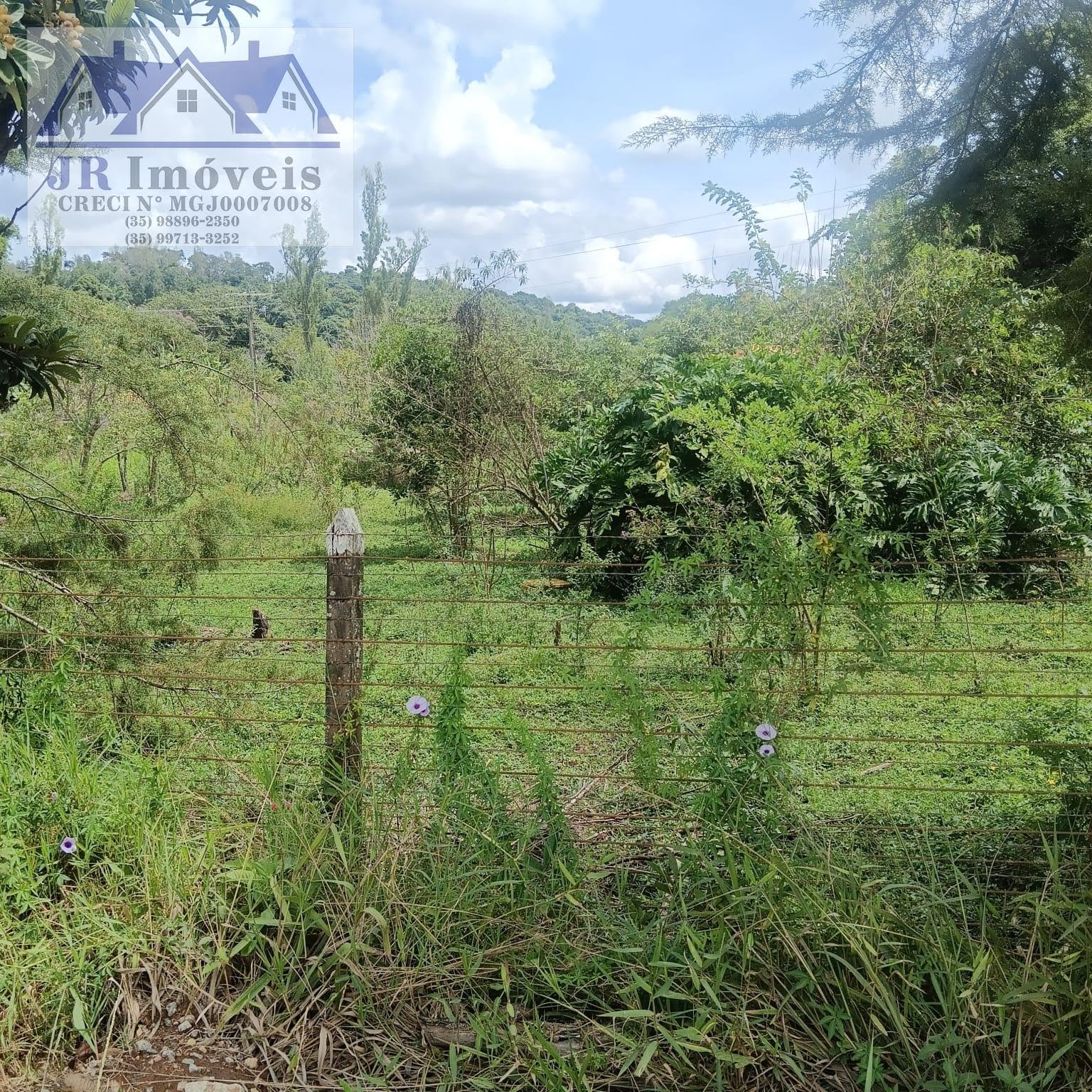 Terreno à venda com 3000m² de terreno no Carneiros, Piranguinho (MG) — foto 2 de 21