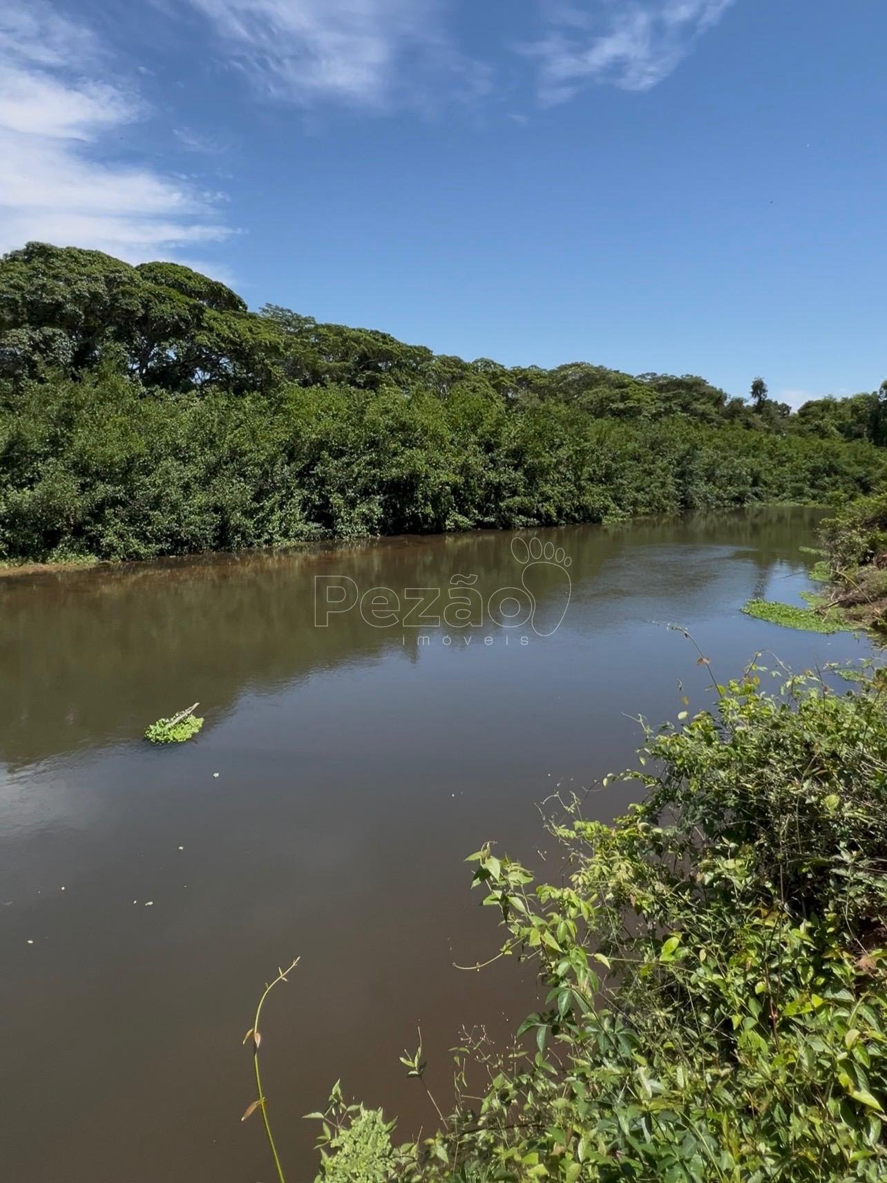 Rural à venda com 8215m² de terreno no Zona Rural de Heitoraí, Heitoraí (GO) — foto 18 de 18