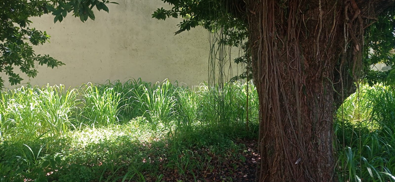 vendo ou alugo terreno super bem localizado no centro de Campos em frente à Faculdade de Direito de Campos cód 16249
