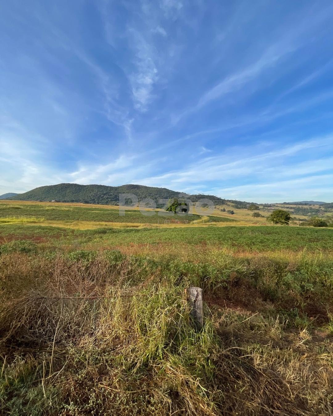 Rural à venda com 150040m² de terreno no Zona Rural de Heitoraí, Heitoraí (GO) — foto 16 de 20