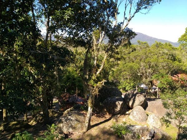 Terreno à venda com 19039m² de terreno no Ratones, Florianópolis (SC) — foto 18 de 26