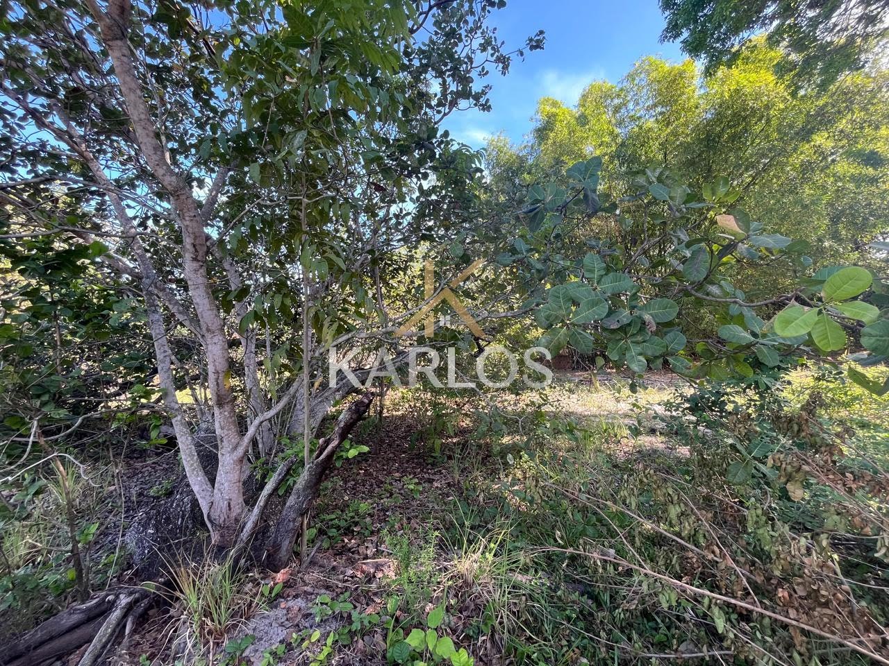Terreno à venda com 1602m² de terreno no Lance dos Cações, Ilha de Itamaracá (PE) — foto 8 de 16