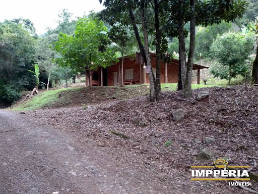 Foto 06