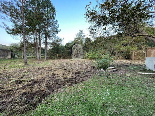 Foto 02