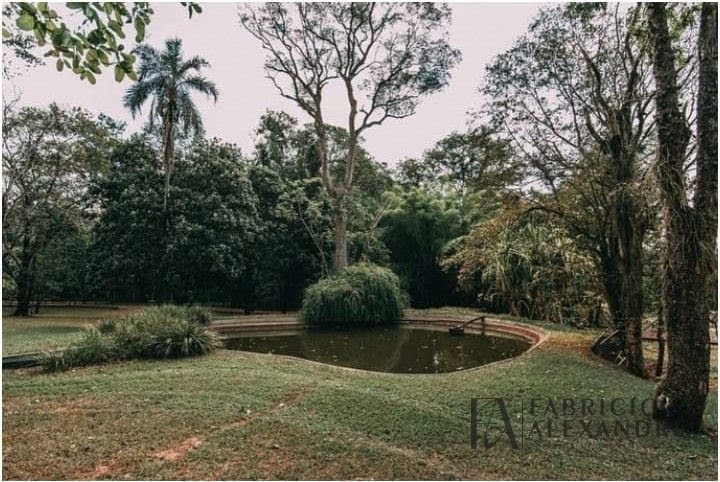 Rural à venda com 68000m² de terreno no Zona Rural, Mirassol (SP) — foto 13 de 20
