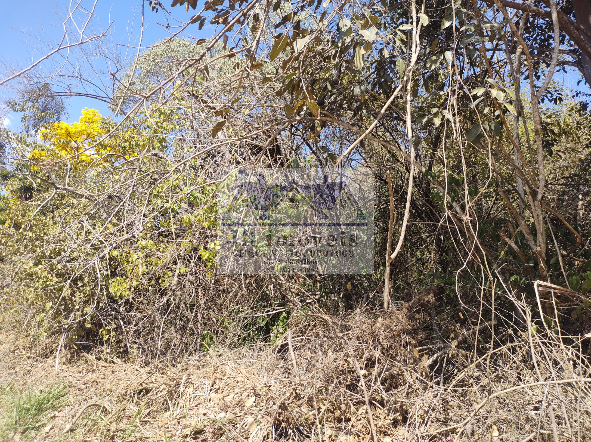 Terreno à venda com 5686m² de terreno no Santa Barbara, Piranguinho (MG) — foto 17 de 17