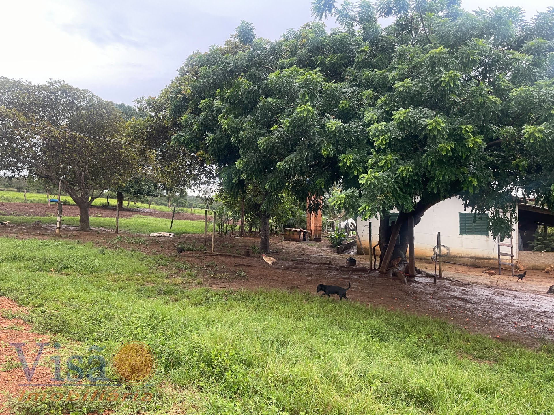 Rural à venda com 90m² de terreno no Área Rural de Paracatu, Paracatu (MG) — foto 4 de 23