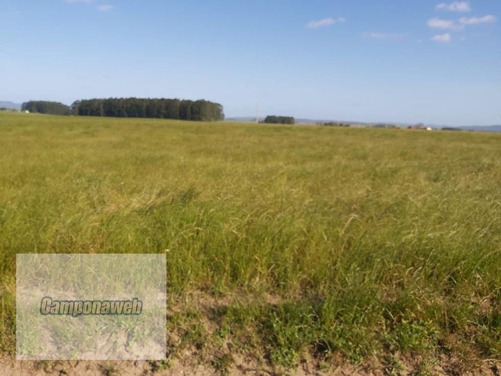 Área agricultável
