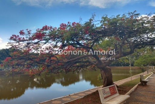 Terreno, 12 m² - Foto 19