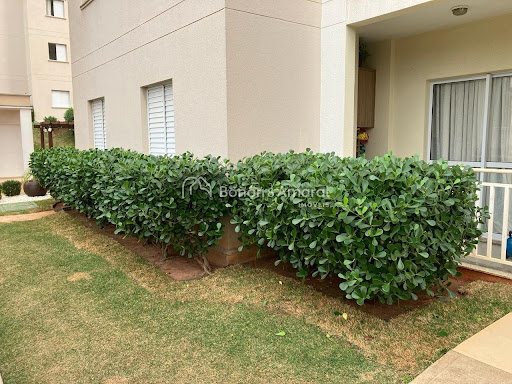 Apartamento, 3 quartos, 87 m² - Foto 12