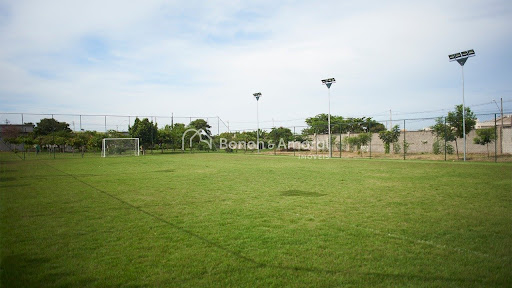 Terreno, 12 m² - Foto 5