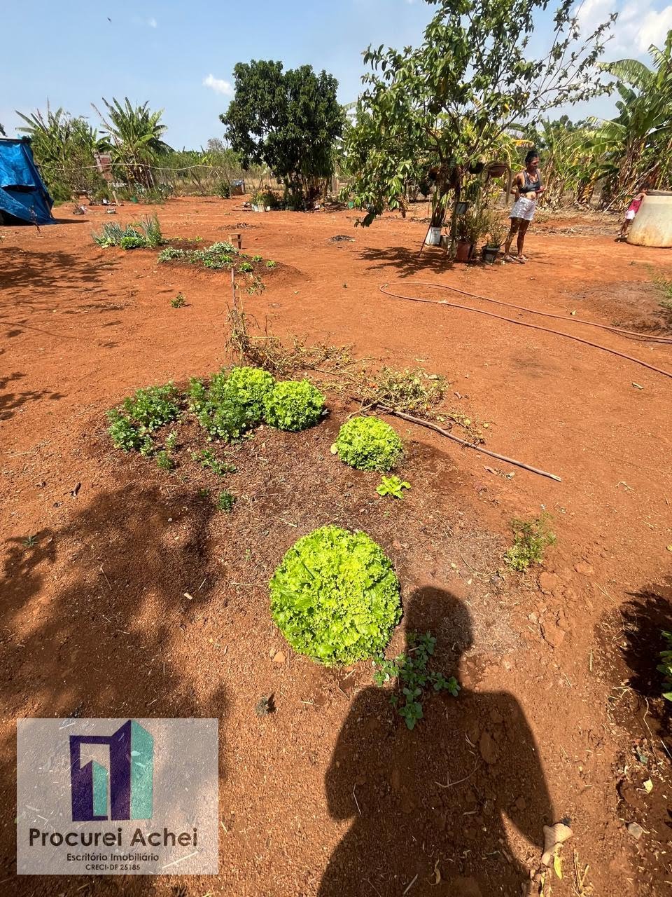 Rural à venda com 5000m² de terreno no Rajadunha I, Brasília (DF) — foto 18 de 21