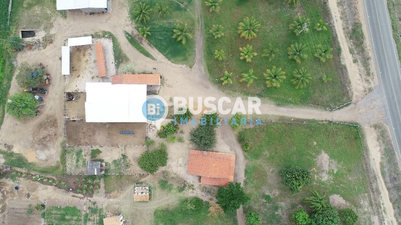 Rural à venda com 1610000m² de terreno no Centro, Iaçu (BA) — foto 6 de 17