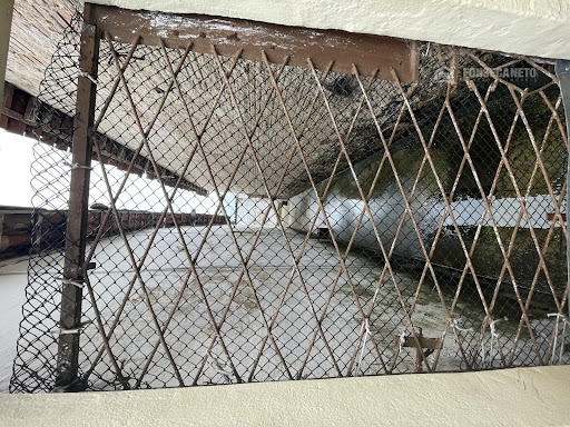 IMG_7876.jpeg